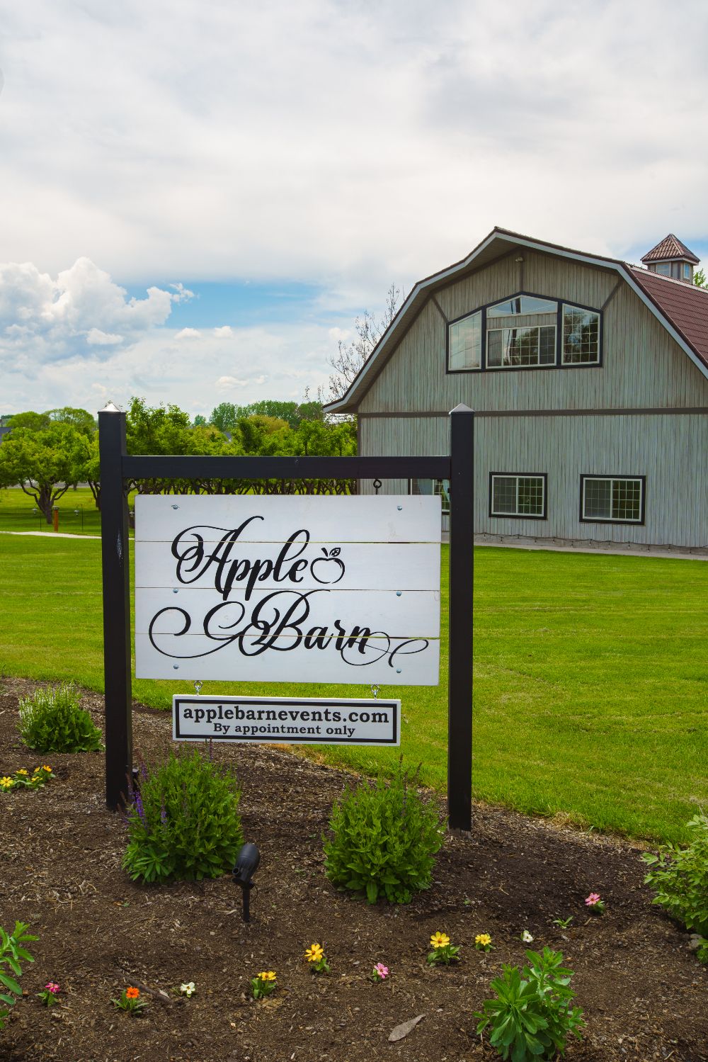 Image: Apple Barn in the background of 2 apple trees